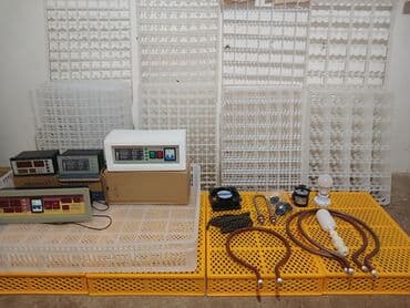 paltaryuyan temiri: Her nov inkubatorlarin temiri alisi satisi ehtiyyat hisselerinin — 1