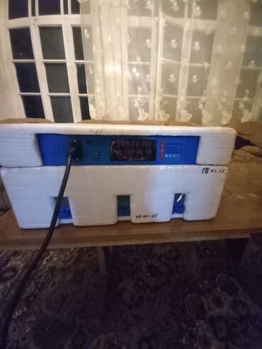 услуги инкубатора в бишкеке: Для всех видов птиц — 5