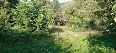 xacmazda 9 nöm mektebin yanında ev torpaq satqısı: 15 sot, Mülkiyyətçi — 2