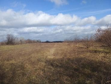 ayda torpaq satışı: 96 sot, Biznes üçün, Kupça (Çıxarış) — 3