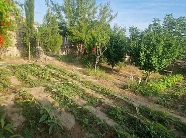 satılık evlər: Bakı, Qala qəs., 30 kv. m, 2 otaqlı, Hovuzlu, Qaz, İşıq, Su — 3