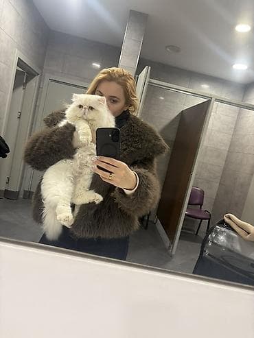 Erkek pişik cutlesdirilir