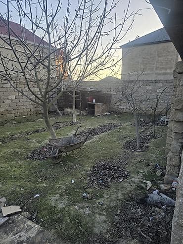 100 kv: 16 sot, Kənd təsərrüfatı, Mülkiyyətçi — 6