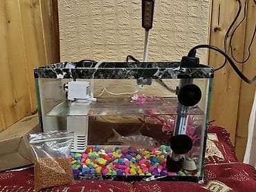 Akvaryum dəsti – şüşə akvarium və tam aksesuarları - Şüşə akvarium