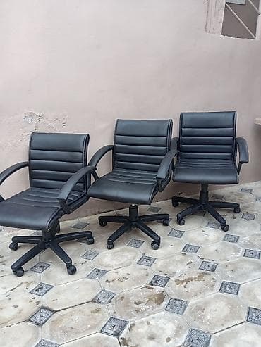 Ofis dolabları: İşlənmiş, Təkərli, Qolları tənzimlənir, Dəri — 2