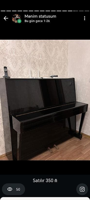 İdman və hobbi: Piano, Belarus, Akustik — 1