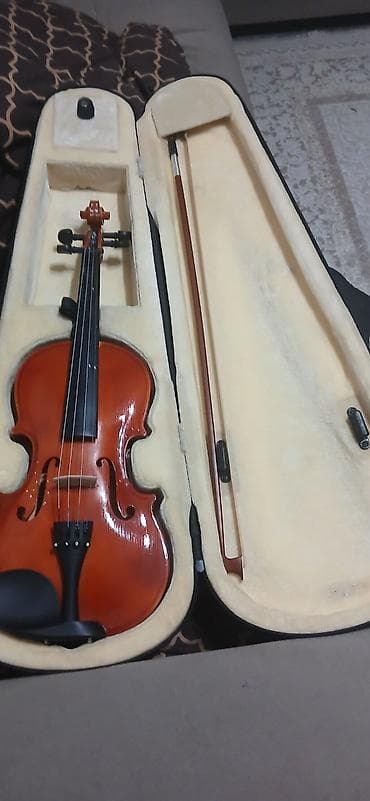 skripkalar: Salam.skripka satıram 4/3 1 il işlənib.səsi tam oturub.karlovy — 3