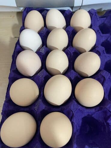 Təmir və tikinti: Xarkov Mayali Yumurta — 1