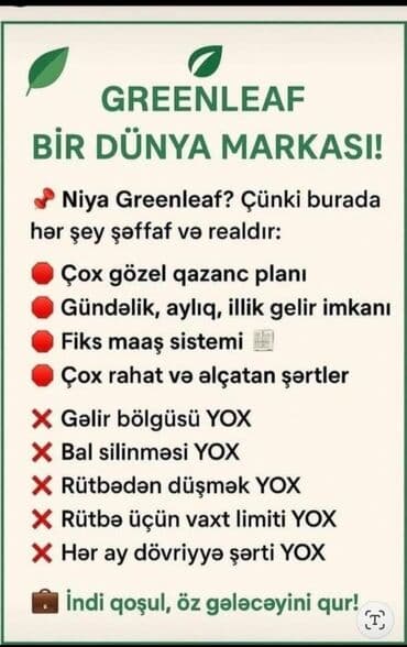 elektrik xəttinin çəkilməsi: Evdə oturaraq pul qazanmaq istəyənlərə əla fürsət. digər şəbəkə — 3