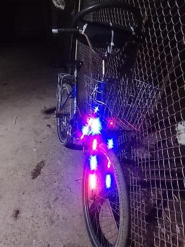 usaq velosipet: Mavi rəngli velosiped, ön hissədə səbəti və arxa hissədə baqaj yeri — 2