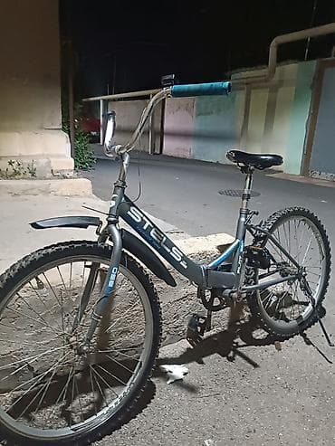 pilot 65: STELS Pilot SE velosiped 350 24 olcu - Təkərlər: 24" (qabaq şin CST — 3