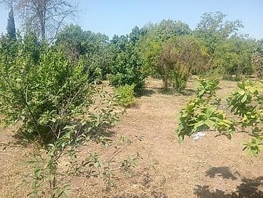 turkanda torpaq satılır: 10 sot, Tikinti, Mülkiyyətçi — 3