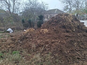 qoz lepesi murebbesi: Salam peyin istienler ücün agaclara ve ya güller ucun idal peyindir — 3