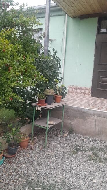 qubada gündəlik kirayə evlər: 3 otaqlı, 97 kv. m, Kredit yoxdur, Yeni təmirli — 13