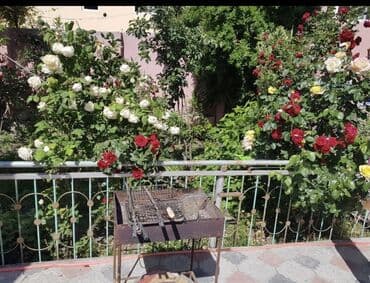 göyçayda ev: Şəkidə mərkəzdə Aylıq gündəlik kirayə verilir. isti soyuq suyu daimi — 6