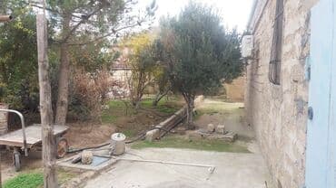 ev certiyojları: 3 otaqlı, 130 kv. m, Yeni təmirli — 22