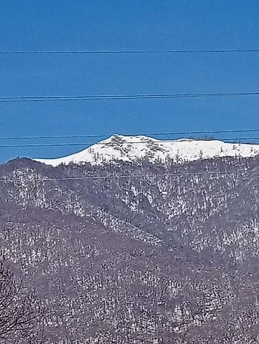 qaxda gunluk kiraye evler: 40 kv. m, 2 otaqlı, Kombi, Qaz, İşıq — 2