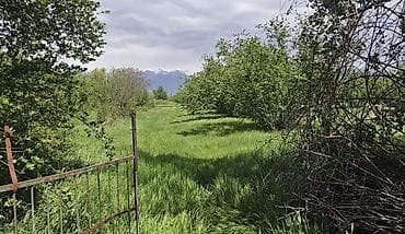 купить объект в баку: 100 соток, Для бизнеса, Купчая — 2