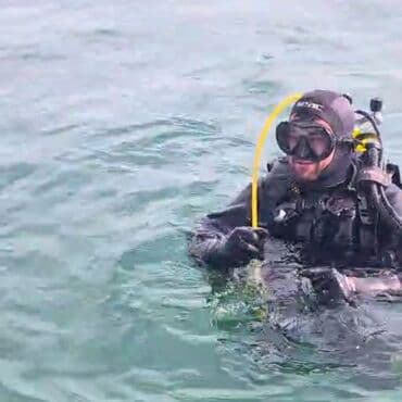 heyvan satisi: Salam Təmiz qaradolaq qomral kərə qoç satiram heyvan 9 ayliqdir martin — 8