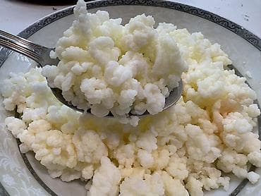 TƏBİİ KEFİR MAYASI SATILIR – SAĞLAM VƏ ÇOXALAN! Evdə yetişdirilmiş