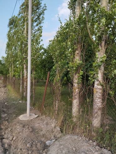 günəşlidə 2 otaqlı evlər: QUBA. Şəhərin girəcəyində Quba mərkəzinə 1 kilometr yaxınlığda, Ərazi — 5