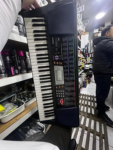 Sintezatorlar: Sintezator, Casio — 2