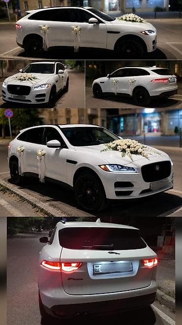 uber elite park: #Jaguar#Fpace#Toy #Nişan və digər #tədbirlər üçün #sifariş edə — 5