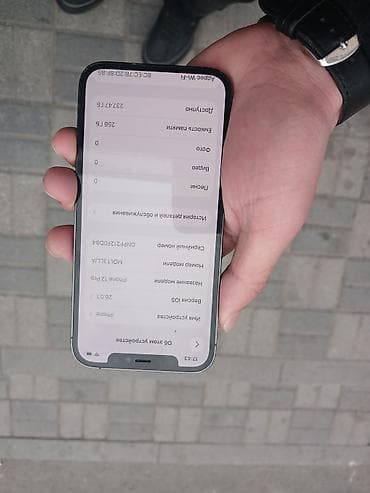 12 mini ikinci el: IPhone 12 Pro, 256 GB, Gümüşü, Face ID — 3