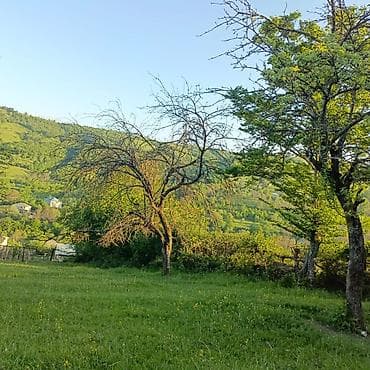 digah heyet evleri: Tikinti — 5