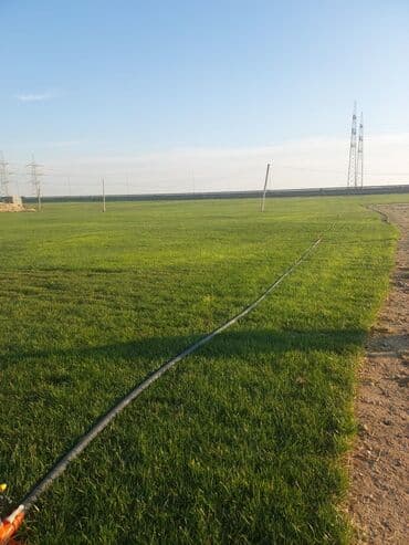 alçıpan potolok dizaynı: Canlı rulon qazon super göm göy əlaqə saxlaya bilərsiz — 2