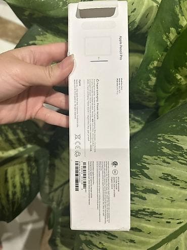 Apple Pencil Pro - Model: Apple Pencil Pro (qutunun üzərində qeyd — 3