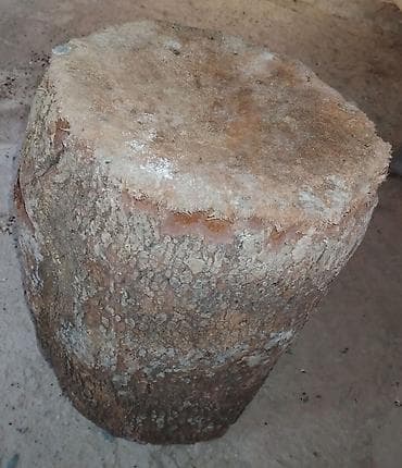 ucuz çılçıraqlar: Böyük kəsim taxta kötüyü - Material: təbii ağac gövdəsi, qabıqlı səth — 2