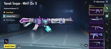 Digər: PUBG Mobile oyun hesabı – zəngin inventar və nadir kosmetik kolleksiya — 6