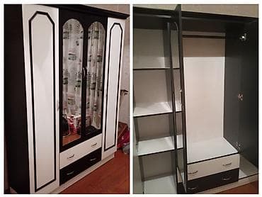 3 qapılı, Güzgülü, Rəngli, Digər material, Açılan, Düz dolab