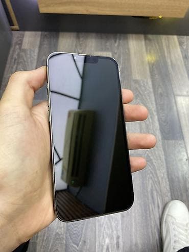 iphone pro max: IPhone 13 Pro, 256 GB, Graphite — 1