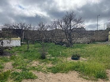 şaganda torpaq: 4 sot, Tikinti, Mülkiyyətçi, Kupça (Çıxarış) — 3