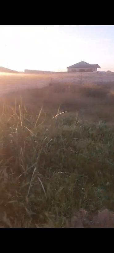 a farm evler: 15 sot, Tikinti, Kupça (Çıxarış) — 5
