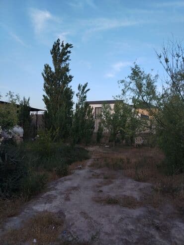 продажа недвижимости в баку: Dübəndi qəsəbəsində dənizə 650 metr məsafədə qeyri-yaşayış kompleksi — 5