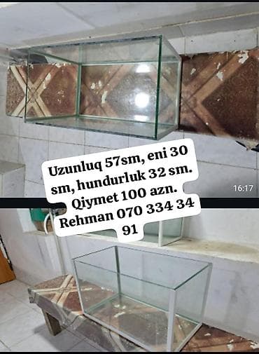 Птицы: Şüşə akvariumlar və akvarium stendləri - Variant 1: 170×50×70 sm — 5