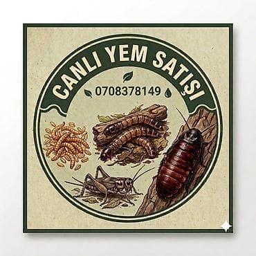 turac quş: Canlı yem satışı – sürünənlər, amfibiyalar, quşlar və akvarium — 1