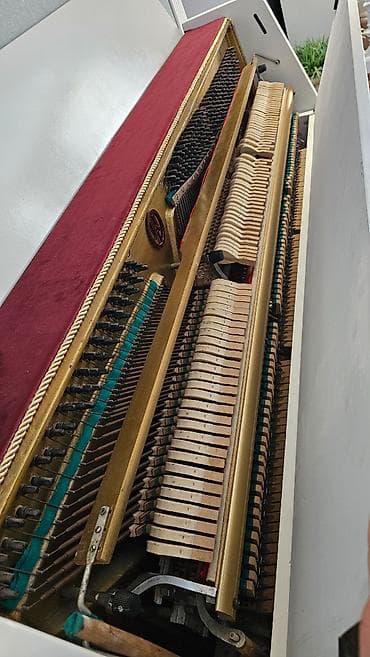 dynacord cms 1600: Piano tam bərpa olunub, ideal vəziyyətdədir. Tokkata modeldir. Alətin — 4