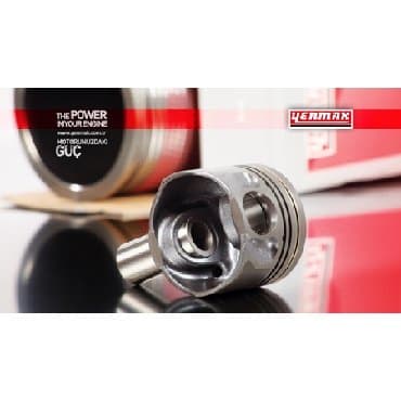 keçi dərisindən qadın şubaları: Porsen yenmak ford transitin her bir modeline — 1