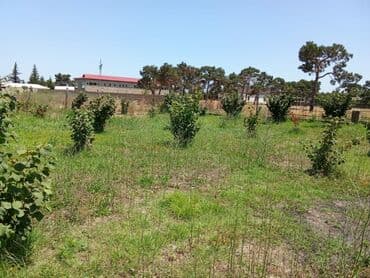 xırdalan kirayə evlər 3 otaqlı: 8 sot, Tikinti, Mülkiyyətçi, Texniki pasport — 7