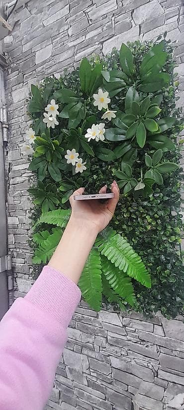 sega mega drive: IPhone 13, 128 GB, Çəhrayı, Face ID — 4