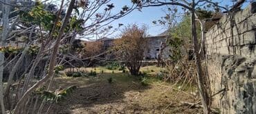 земельный участок в деревне: 6 соток, Для бизнеса, Собственник — 5