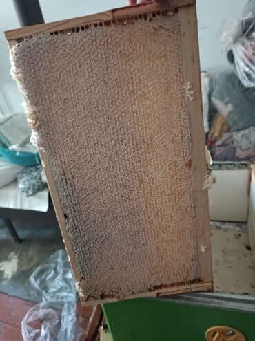 дистиллированная вода баку: Salam .Təcili pul lazim olduğu üçün çox ucuz qiymətə verirəm.Balin — 3