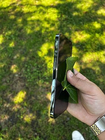 iphone original adapter: IPhone 13 Pro Max, 256 GB, Alpine Green — 3