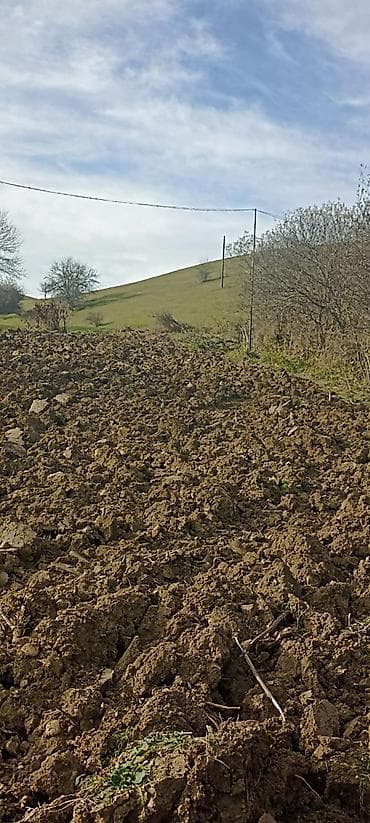 kohnə suraxanı: Kənd təsərrüfatı — 3