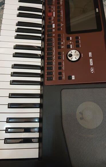 sentizator: Sintezator, Korg, Yeni, Ünvandan götürmə — 10