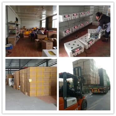 sud şağan aparat: Inkubator inkubatorlarin birinci əl satişi unversal inkubator — 3